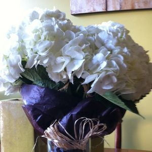 Meet your Posher, Olga